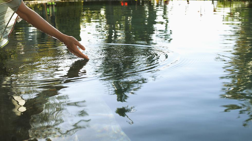 Kvinnlig hand rör vattenytan i en damm